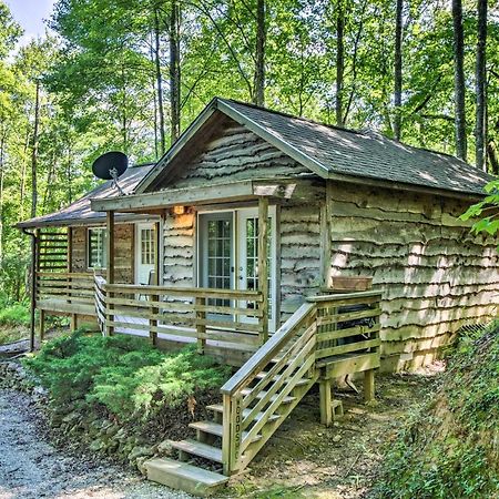 Cozy The Woodshop Cabin With Deck And Forest Views! Роббинсвилл Экстерьер фото