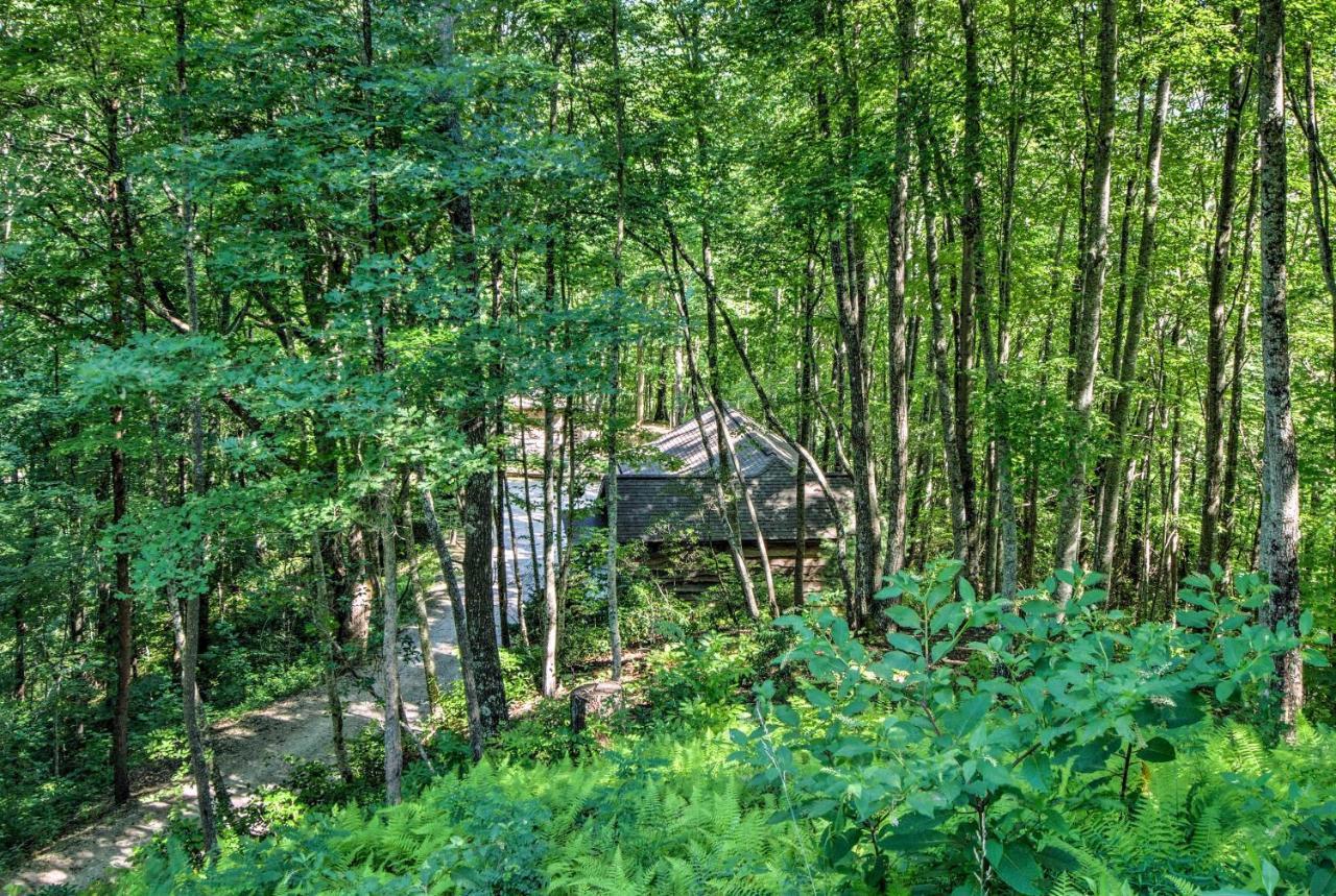 Cozy The Woodshop Cabin With Deck And Forest Views! Роббинсвилл Экстерьер фото