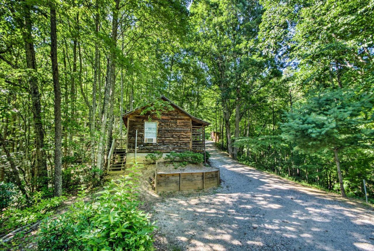 Cozy The Woodshop Cabin With Deck And Forest Views! Роббинсвилл Экстерьер фото